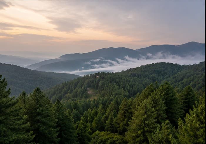 Queen Hills Surroundings